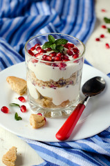 Cottage cheese dessert with biscuits and grenades