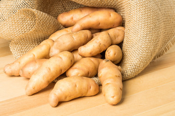 Burlap sack of fingerling potatoes
