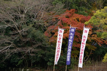 11月23日    新嘗祭