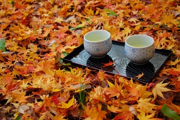 散り紅葉とお茶