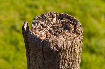 Closeup of a wooden fence post