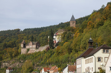 Fototapeta na wymiar Burg in Zwingenberg am Neckar