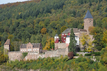 Burg in Zwingenberg am Neckar