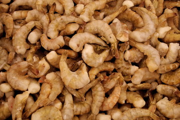 Lots of frozen shrimps