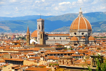 Fototapeta na wymiar dachy Florencji