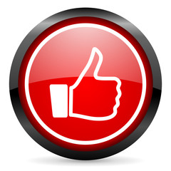 thumb up round red glossy icon on white background