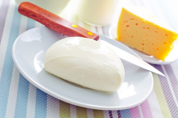 fresh cheese on the white plate