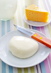 fresh cheese on the white plate