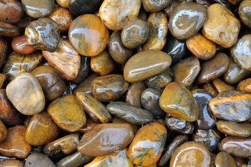 wet stone texture 2