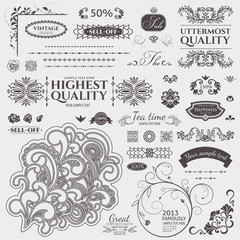 Design elements. Vector set. Floral and ornamental symbols