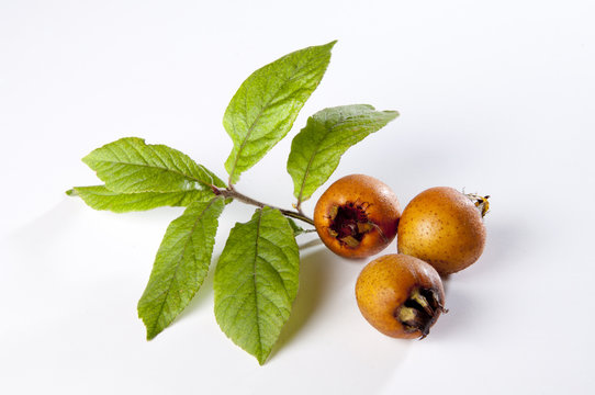 Nespole con foglie
