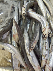 Obraz premium Anchovies