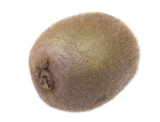 kiwi fruit on a white background