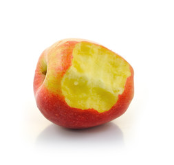 apple eaten to its core showing its seeds