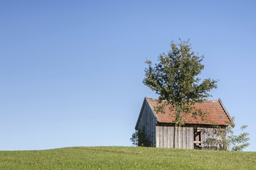 Scheune mit Baum