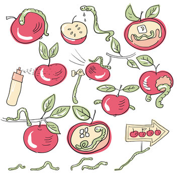 worms and apples