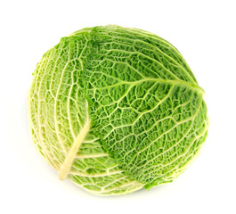 Fototapeta premium fresh green cabbage