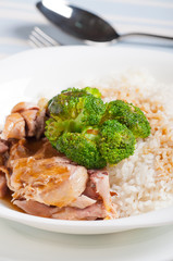 turkey meat with broccoli topped on a rice