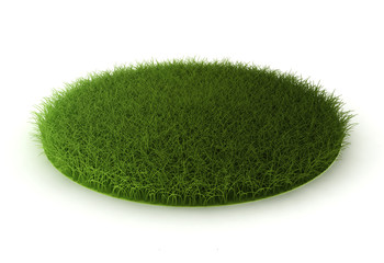 grass lawn