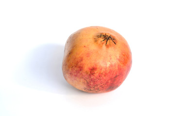 Granatapfel