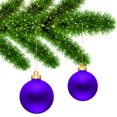 violette Christbaumkugeln am Tannenzweig