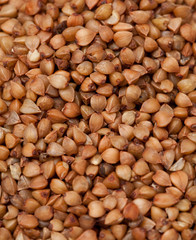 buckwheat background
