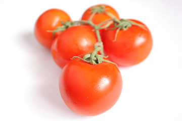 ripe tomatoes