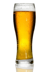 mug of beer isolated on white