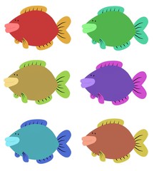 Six Colourful Fish