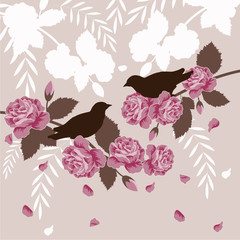 Romantic floral background - 47116344