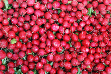 radishes background