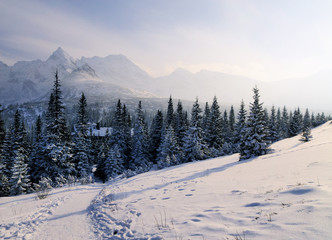 Winter, Tatra Mountains, Poland