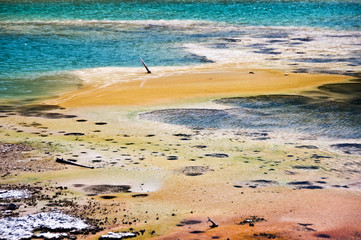 Norris Geyser Basin - Parc de Yellowstone, USA