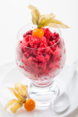 Cranberry sorbet for Christmas