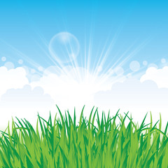 Obraz premium Beautiful spring background