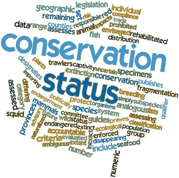 Word cloud for Conservation status
