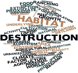 Word cloud for Habitat destruction