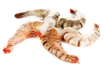 Prawns isolated on white