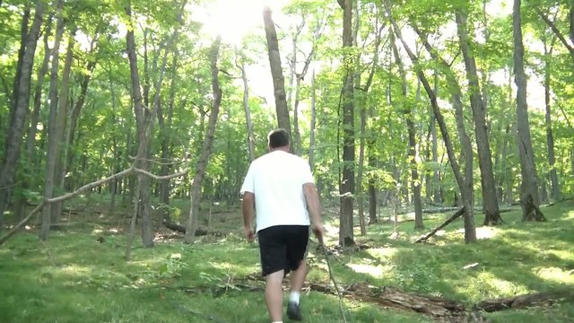 Man Hiking in Forest with Stick