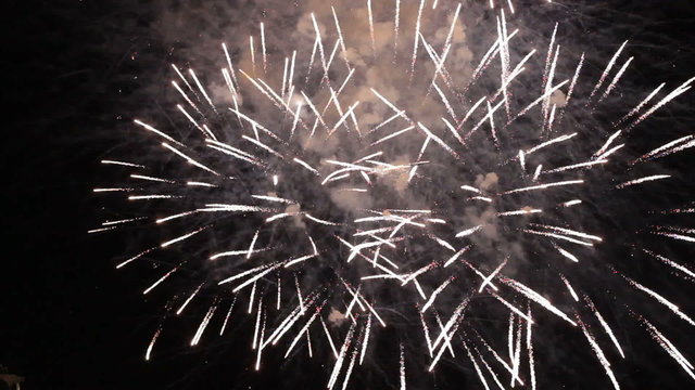 Spectacular fireworks igniting the sky