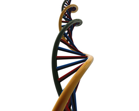 DNA