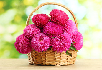 Fototapeta na wymiar różowe kwiaty aster w koszyku na zielonym tle