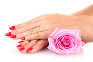 woman hands  with flower isolated on white