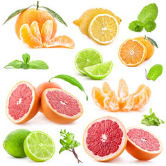 Collection of citrus with mint isolated on white background