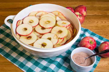 Bowl of sliced apple rings with cinnamon