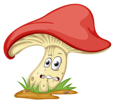 A Mushroom With Face