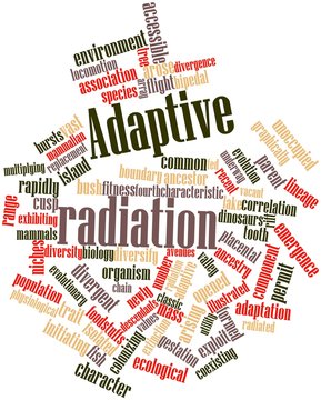 Word cloud for Adaptive radiation