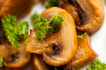 Fried mushrooms with fresh parsley
