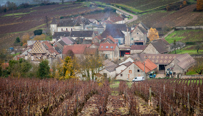 Fototapeta na wymiar Paysage viticole