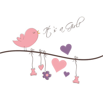 Vogel zwitschert: It`s a Girl!